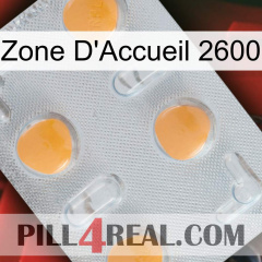 Home Zone 2600 24